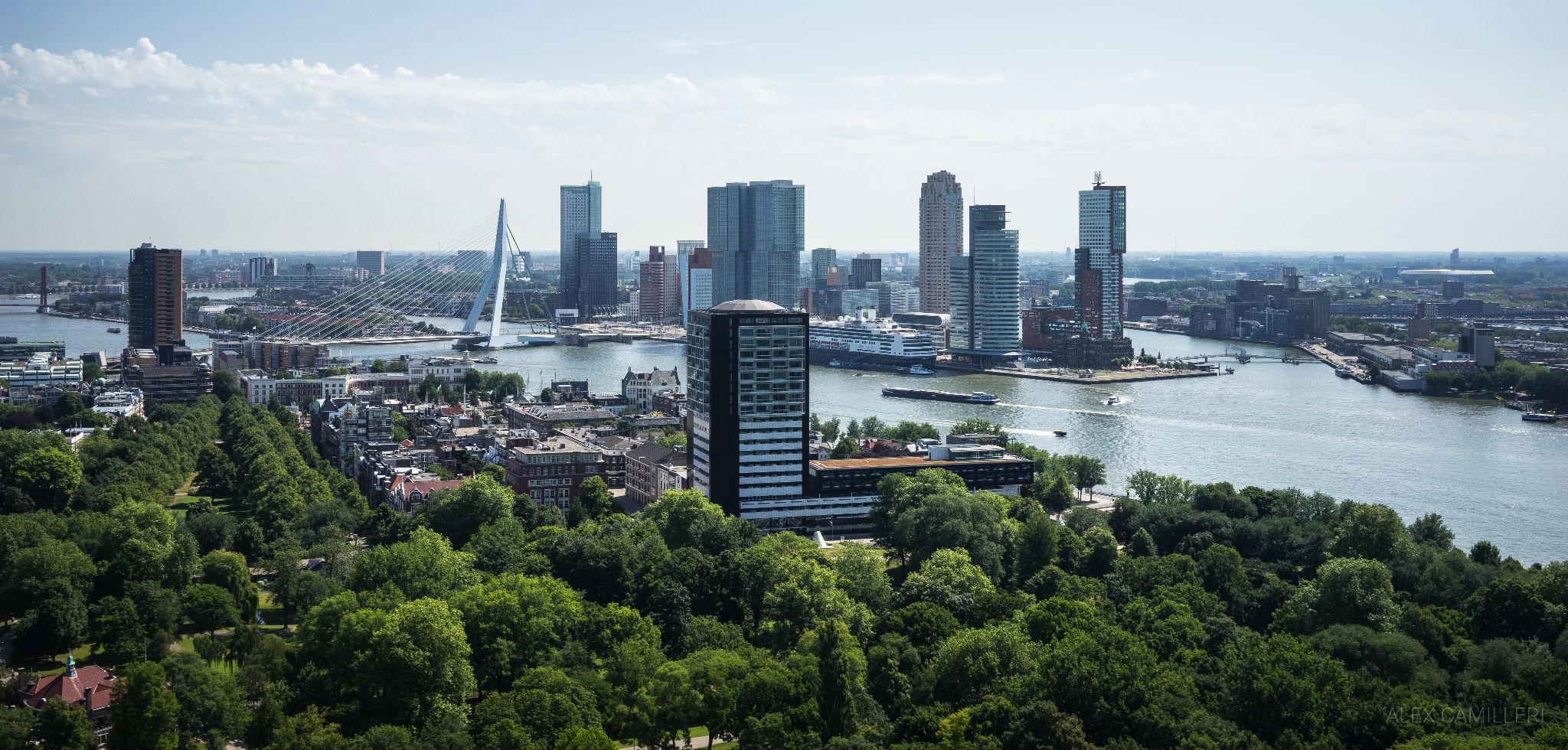 Rotterdam Skyline
