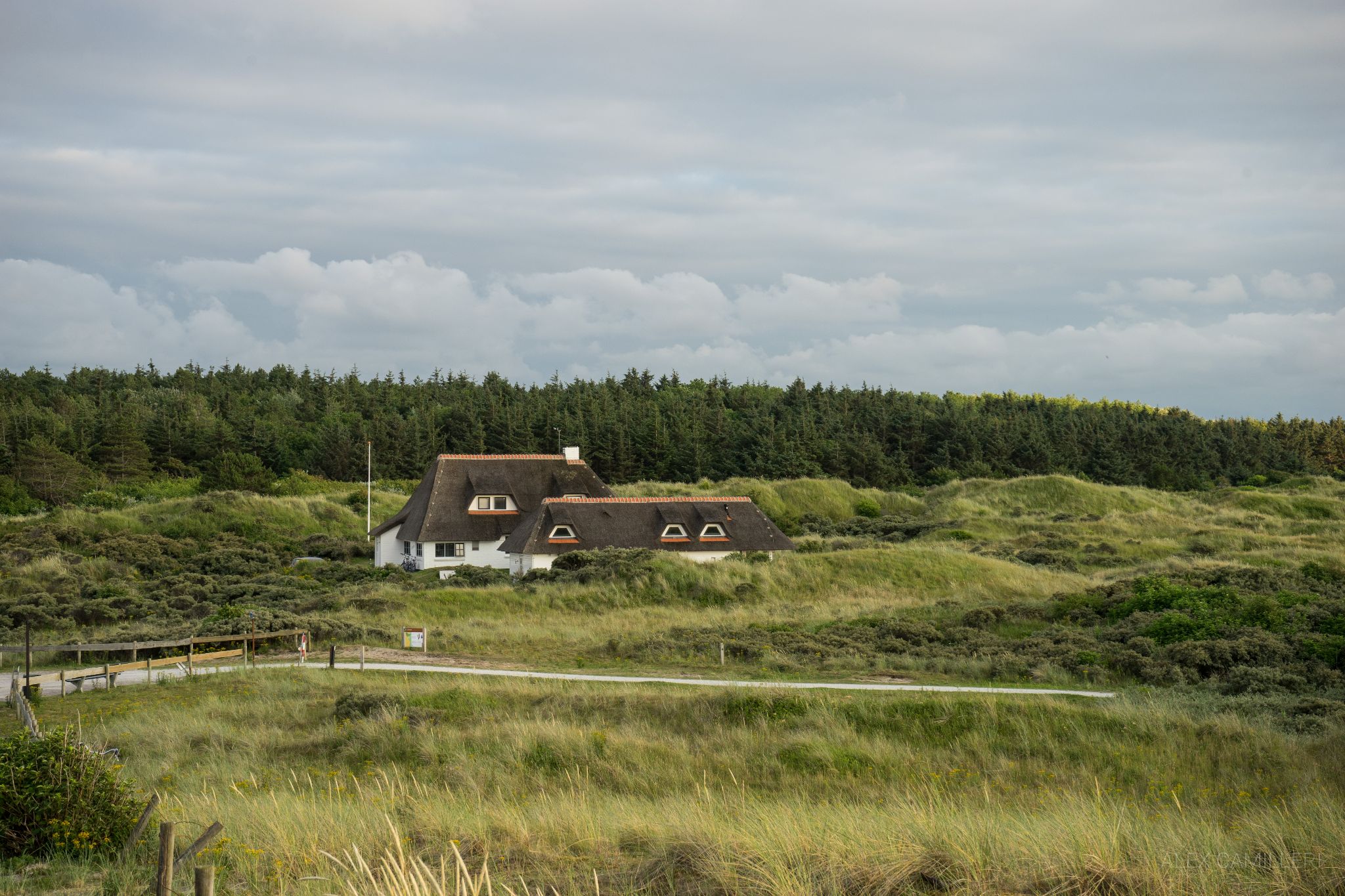 Ameland House