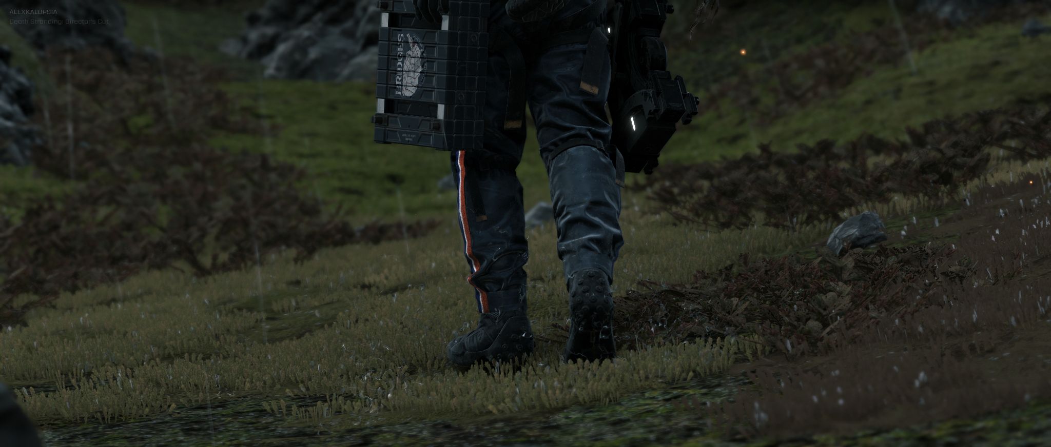 Death Stranding: Director's Cut