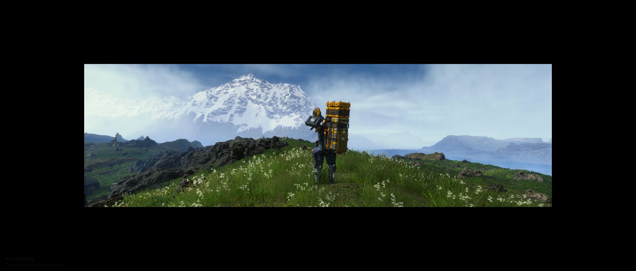 Death Stranding Directors Cut 07