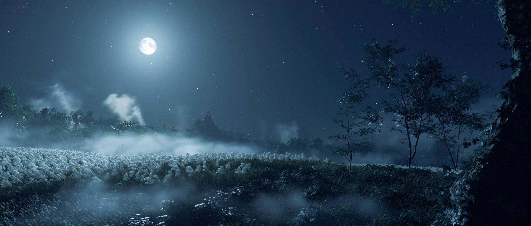 Ghost of Tsushima 11