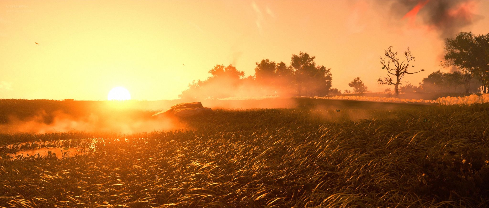 Ghost of Tsushima 12