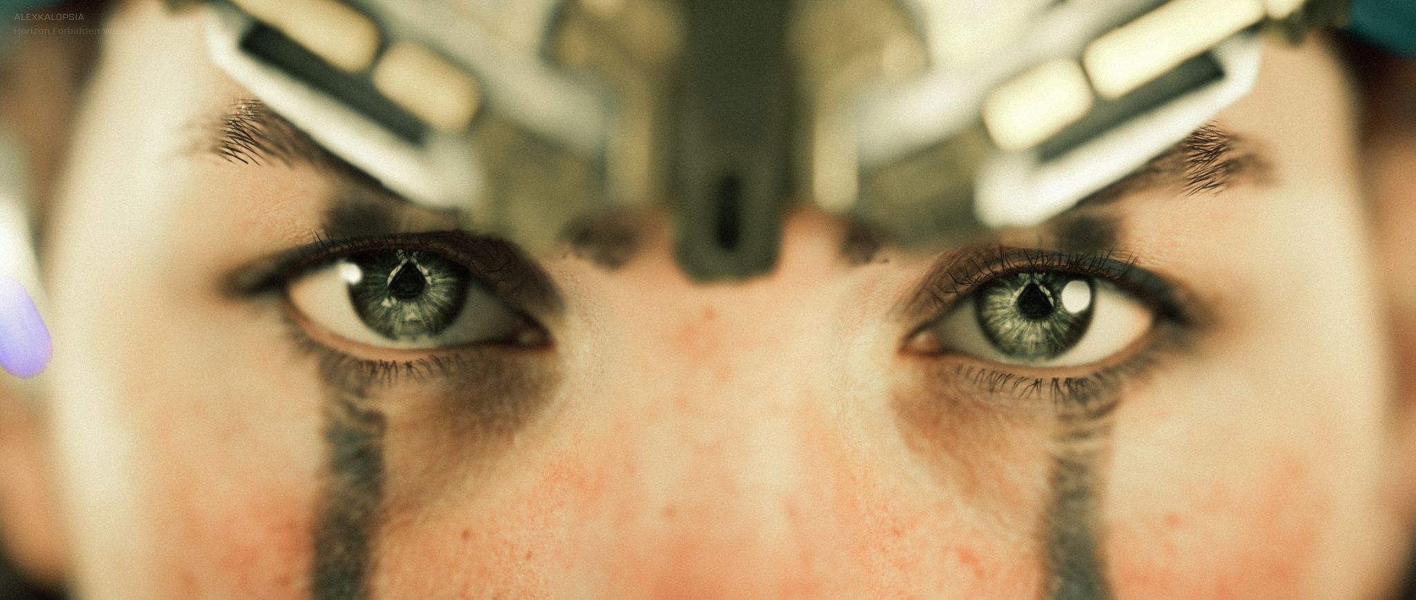 Horizon Forbidden West 00