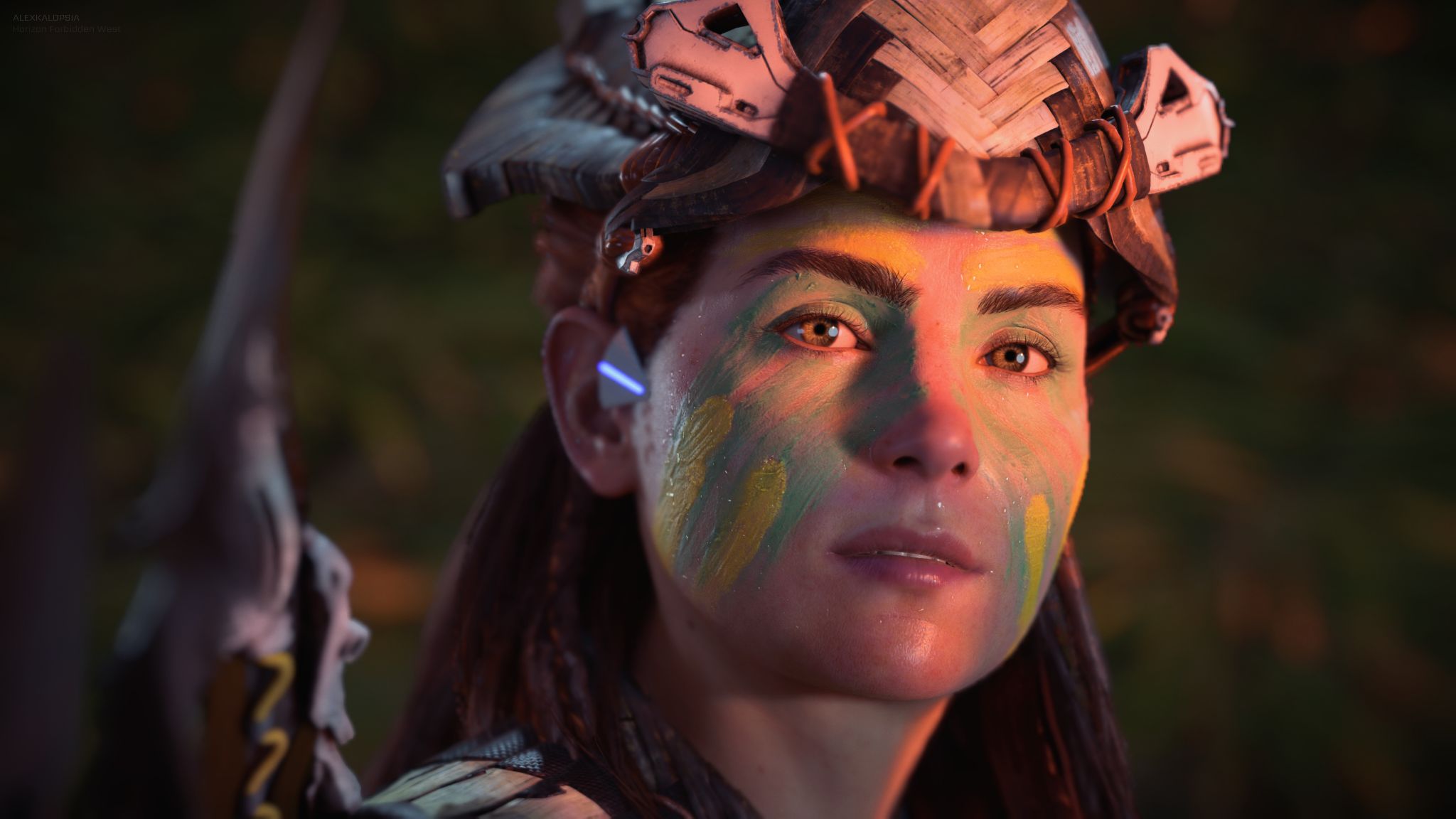 Horizon Forbidden West 09